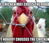 Image result for Chicken Jokes Pics