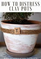Image result for Clay Pot Herb Garden