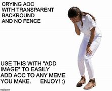 Image result for AOC Fence Meme