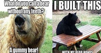 Image result for Grizzly Bear Puns