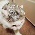 Image result for Cat Tin Foil Hat Back of Package