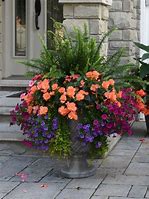 Image result for Porch Flower Box Ideas