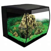 Image result for Fluval Flex Aquarium Kit, 31 CGM