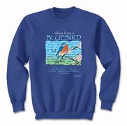 Image result for Big Bird Sweatshirt