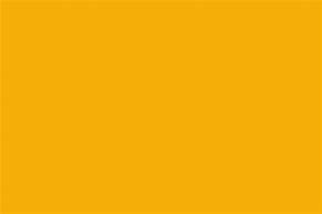 Image result for Yellow Skin Tone