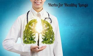 Image result for Natural Lung Healers