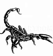 Image result for Cool Scorpion Drawings Color