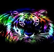Image result for Cool Tiger Backgrounds