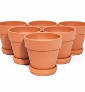 Image result for Terracotta Potted Plants