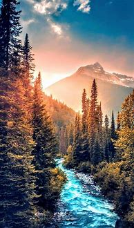 Image result for Zedge Wallpapers Nature