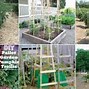 Image result for Wood Plant Supports