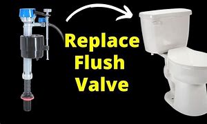 Image result for How to Replace Toilet Flush Valve