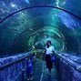 Image result for Jakarta Aquarium