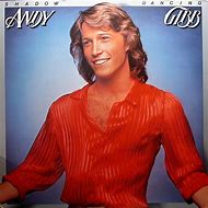 Image result for andy gibb shadow dancing