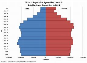 Image result for American Demography