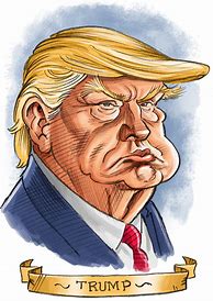 Image result for Trump Carroll Cartoon