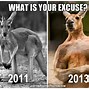 Image result for Roger the Kangaroo Memes