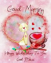 Image result for Good Morning Wednesday Cat