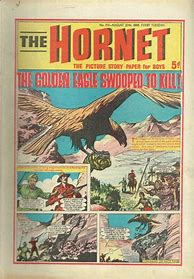 Image result for Hornet Comics