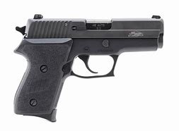 Image result for Sig P220 45ACP Price