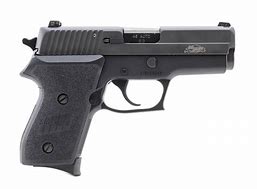 Image result for Sig Sauer 22 Caliber Semi-Automatic Pistols
