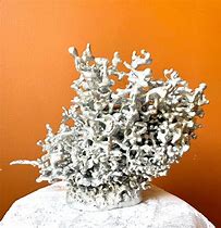 Image result for Aluminum Ant Hill