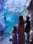 Image result for Point Defiance Zoo and Aquarium