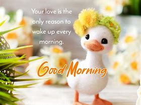 Image result for Good Morning Quotes Cute Love