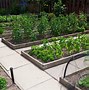 Image result for Raised Garden Bed Kits