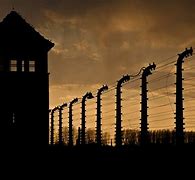 Image result for Auschwitz City