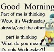 Image result for Wednesday Daily Quote Funny