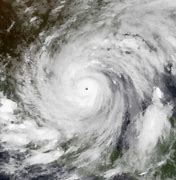 Image result for Hurricane Alex