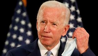 Image result for Two Biden's