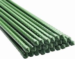 Image result for Metal Tomato Stakes