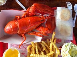 Image result for Maine Cuisine
