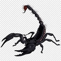 Image result for Black Scorpion Cartoon