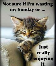 Image result for Funny Quotes Sunday Evening