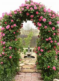 Image result for Rose Garden Trellis