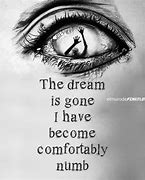 Image result for Comfortably Numb Song