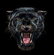 Image result for Black Panther Roaring