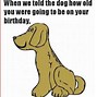 Image result for Happy Birthday for Her Humor