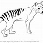 Image result for How to Draw Tasmanian Tiger