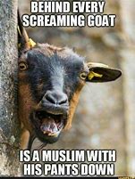 Image result for Muslim Goat