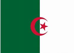 Image result for French Army in Algeria