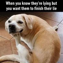 Image result for Animal Meme of the Day