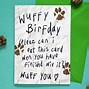 Image result for Funny Happy Birthday Wish Card