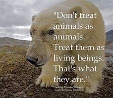 Image result for Animals Life Quotes