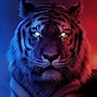 Image result for Cool Backgrounds Blue Fire Tiger