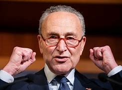 Image result for Schumer Face
