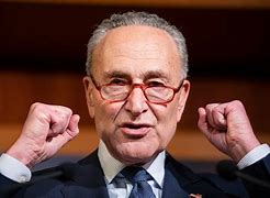 Image result for Schumer Pics